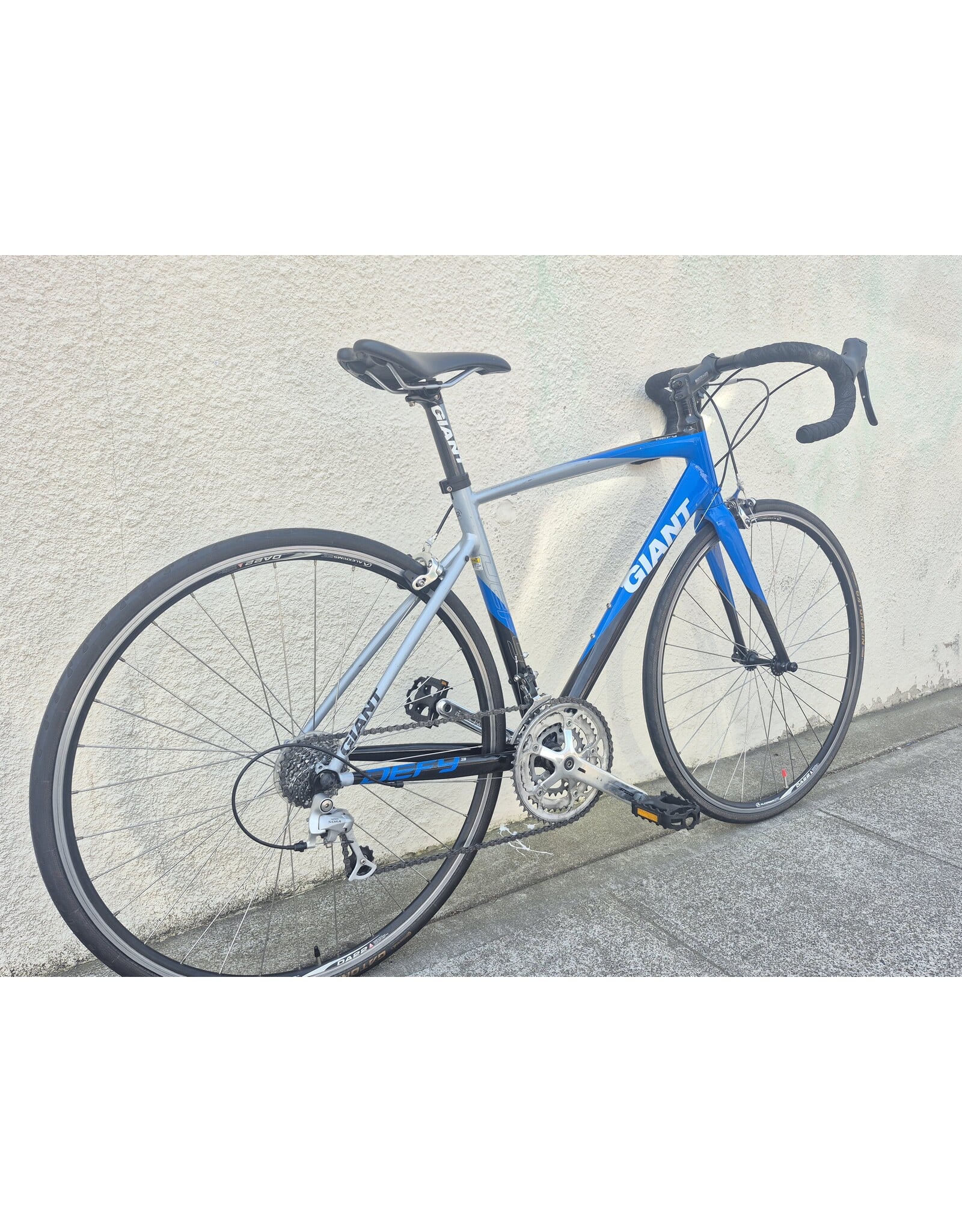 Giant Medium Giant Defy