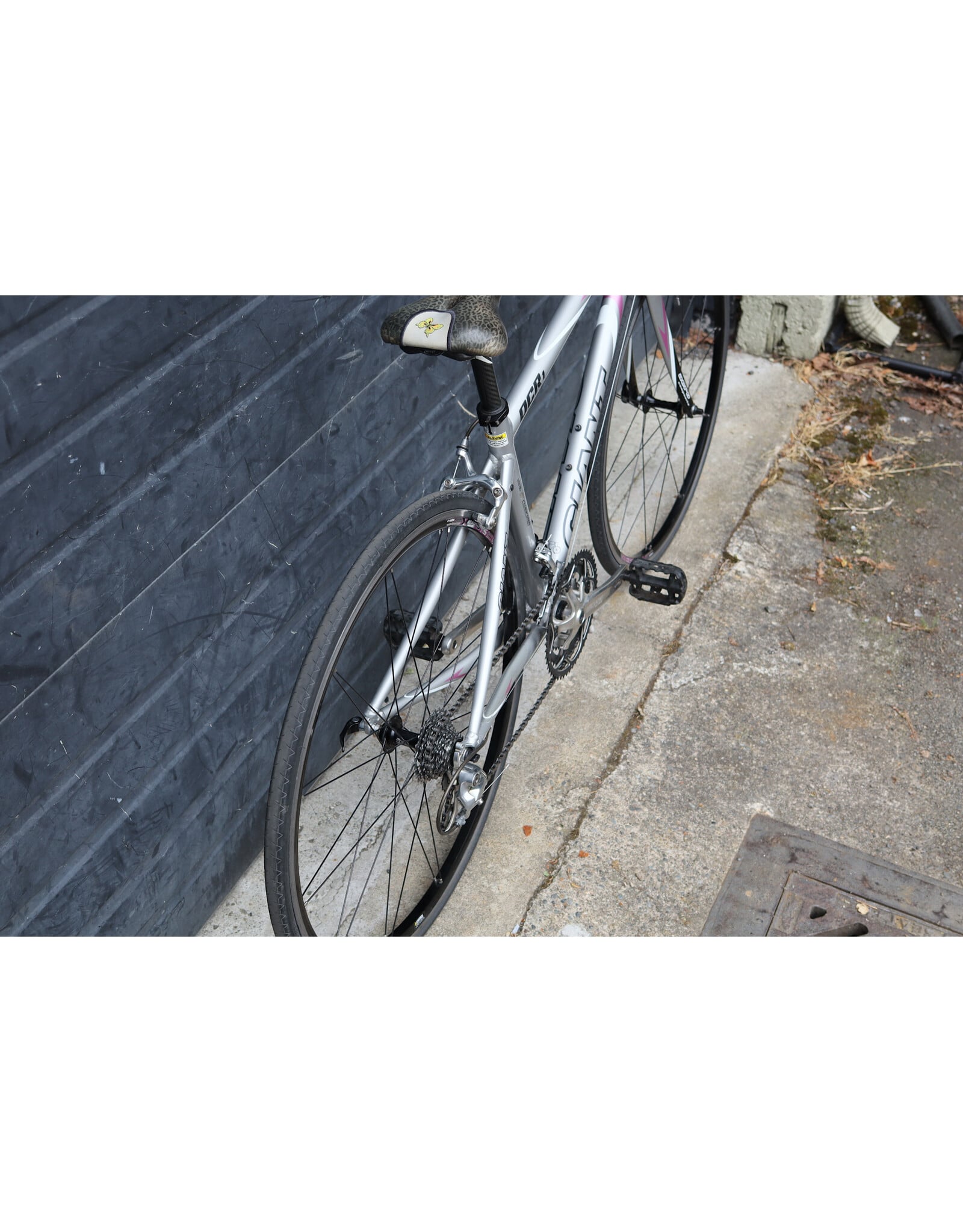 Giant Small Giant OCR1