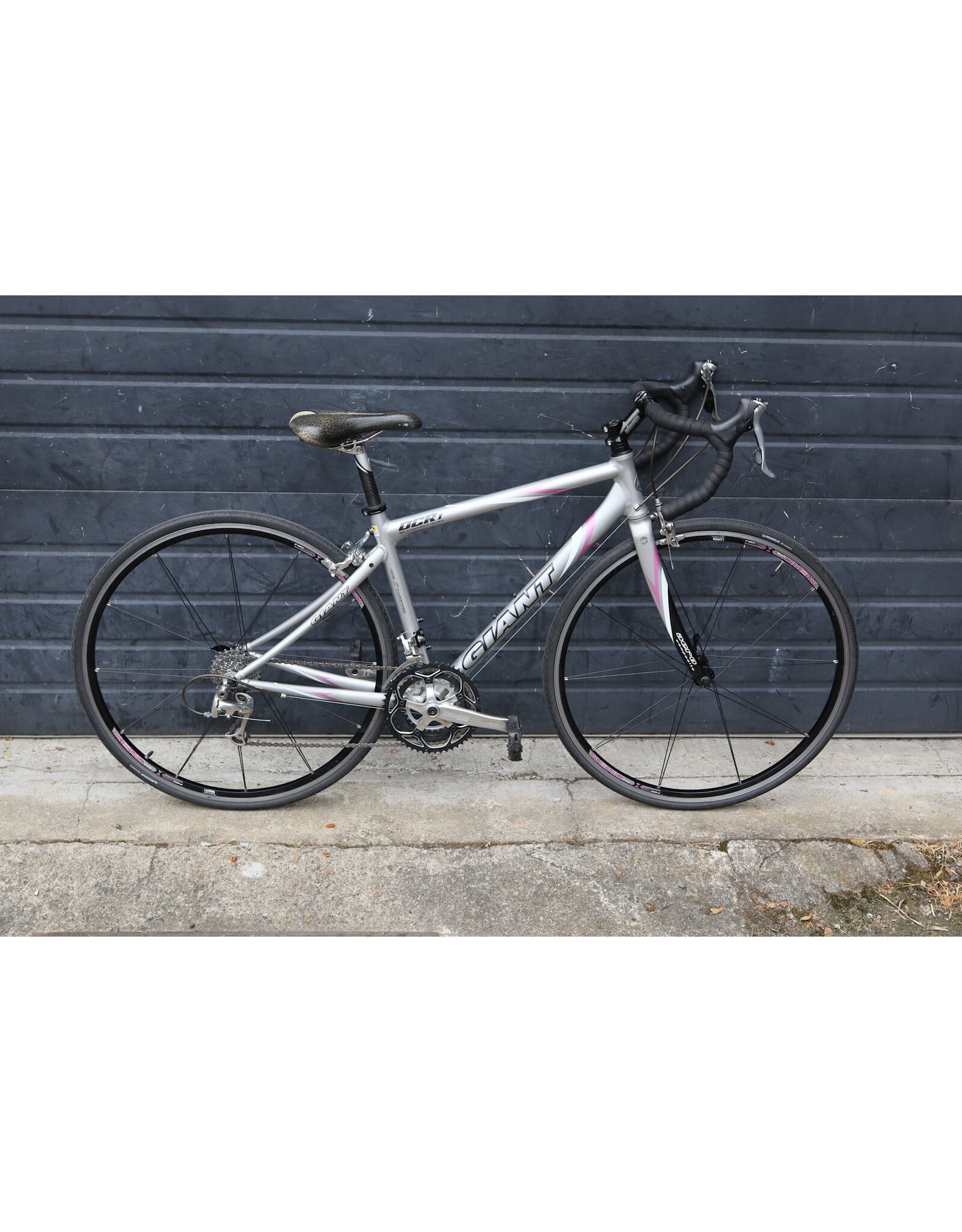 Giant Small Giant OCR1