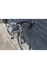 Giant Small Giant OCR1