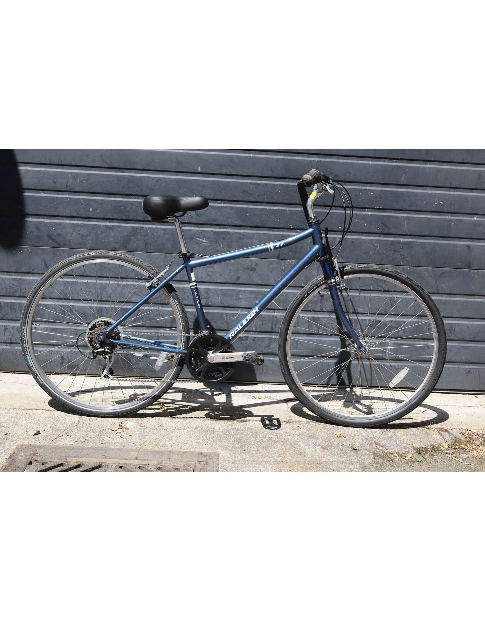 Raleigh Medium Raleigh Detour
