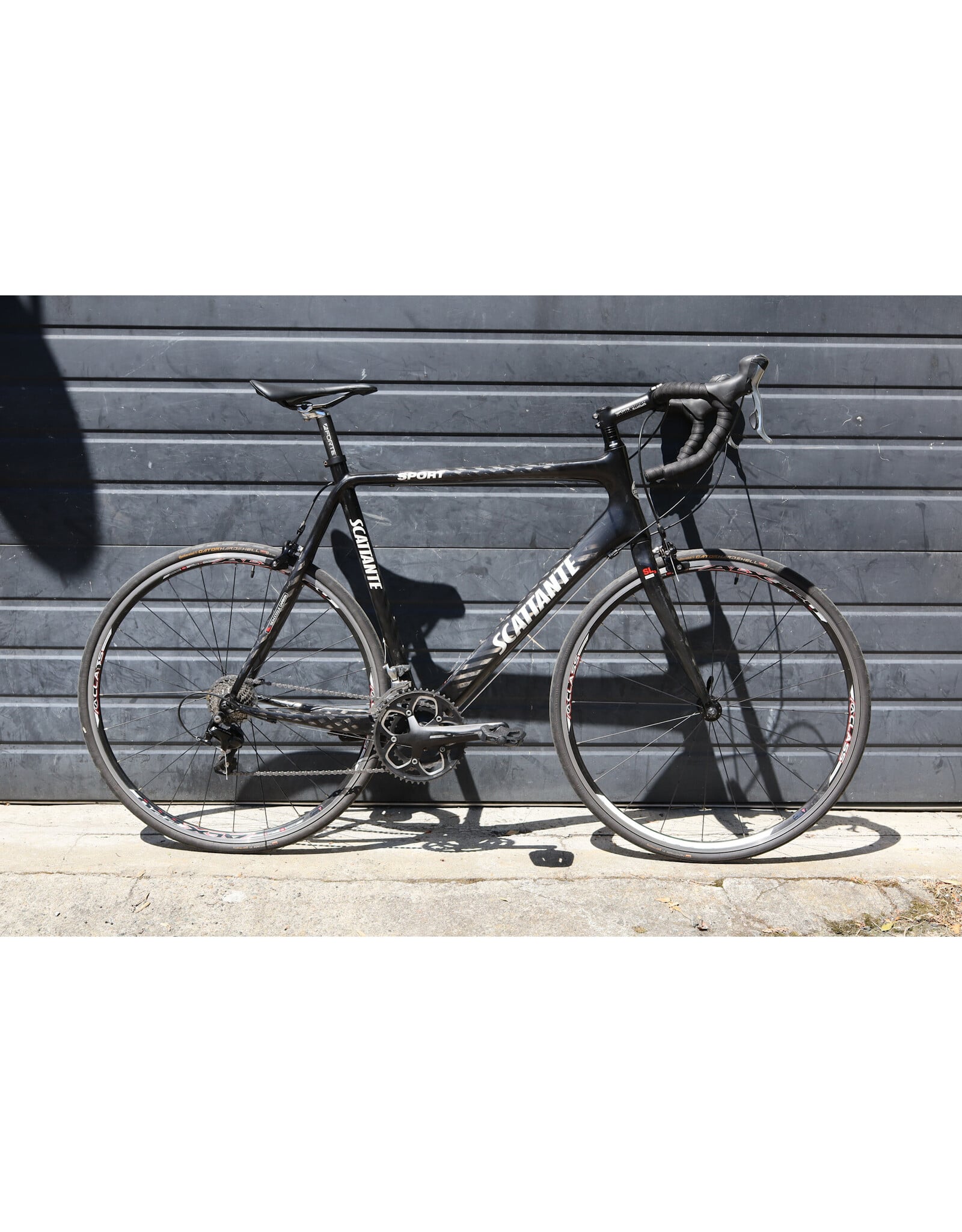 Scattante 57cm Scattante Sport