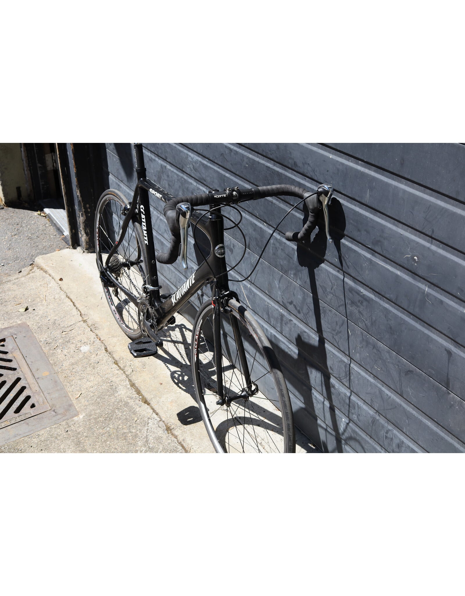 Scattante 57cm Scattante Sport