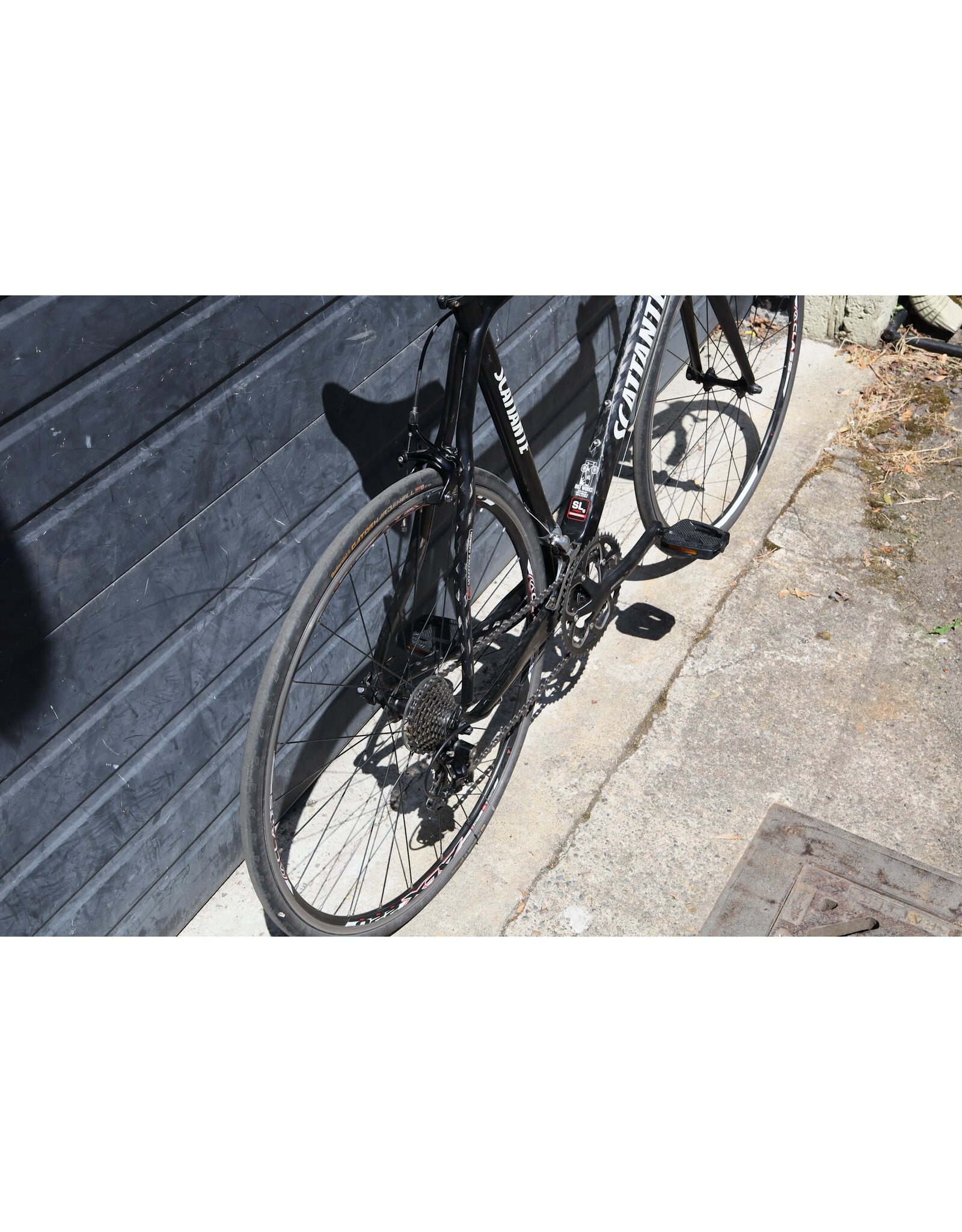 Scattante 57cm Scattante Sport