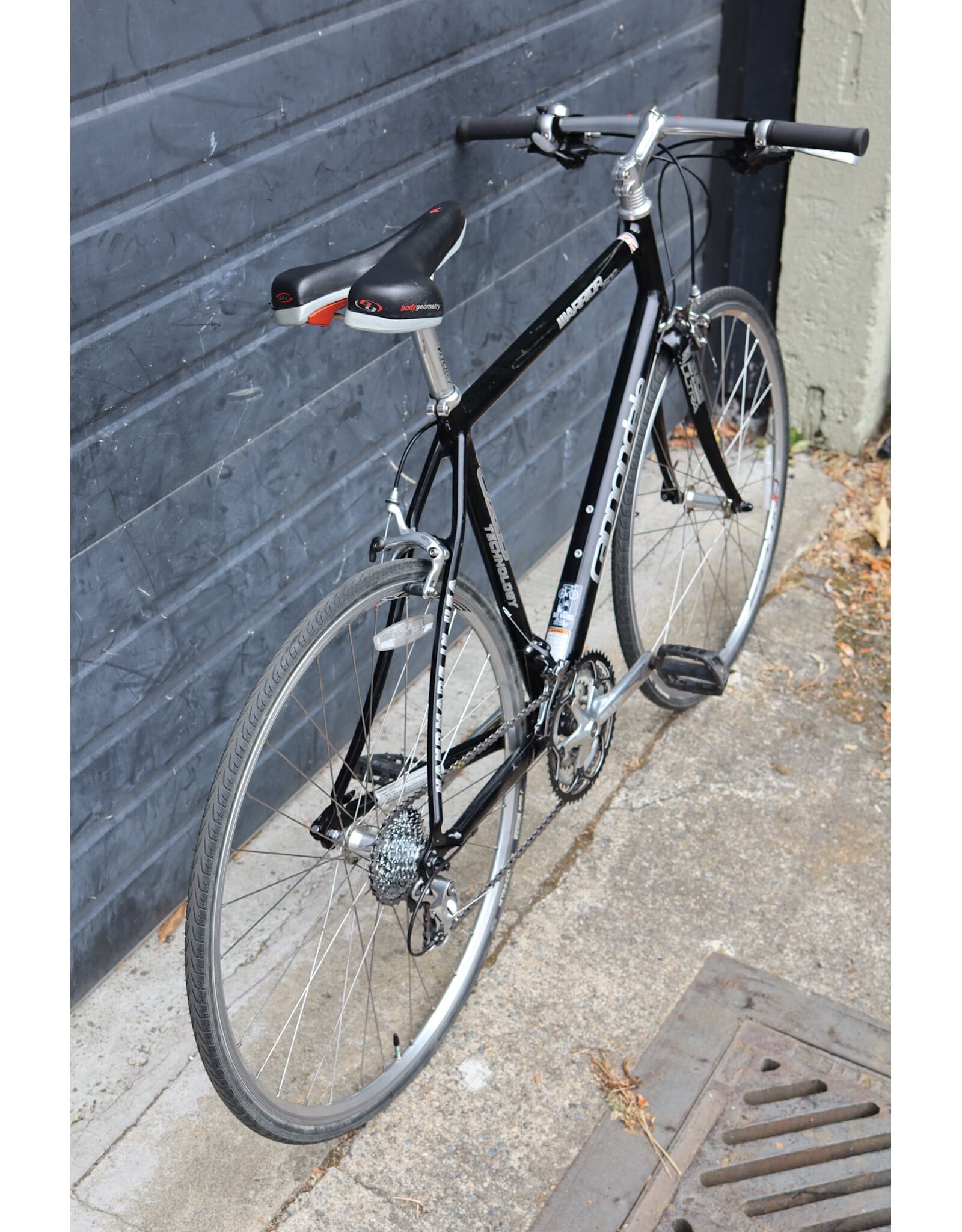Cannondale Large Cannondale Warrior 600
