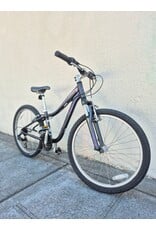 24" Specialized Hotrock