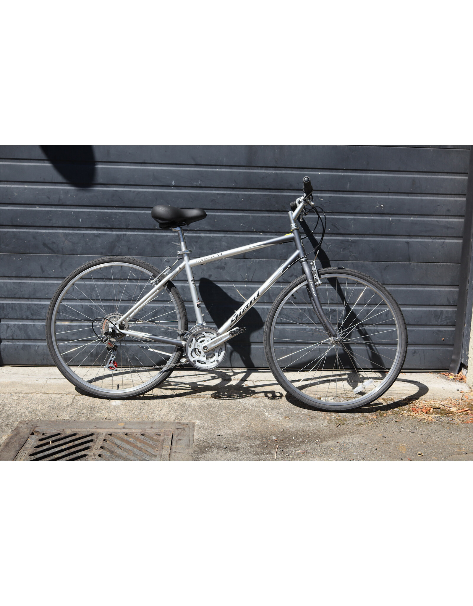Giant 19" Giant Cypress ST
