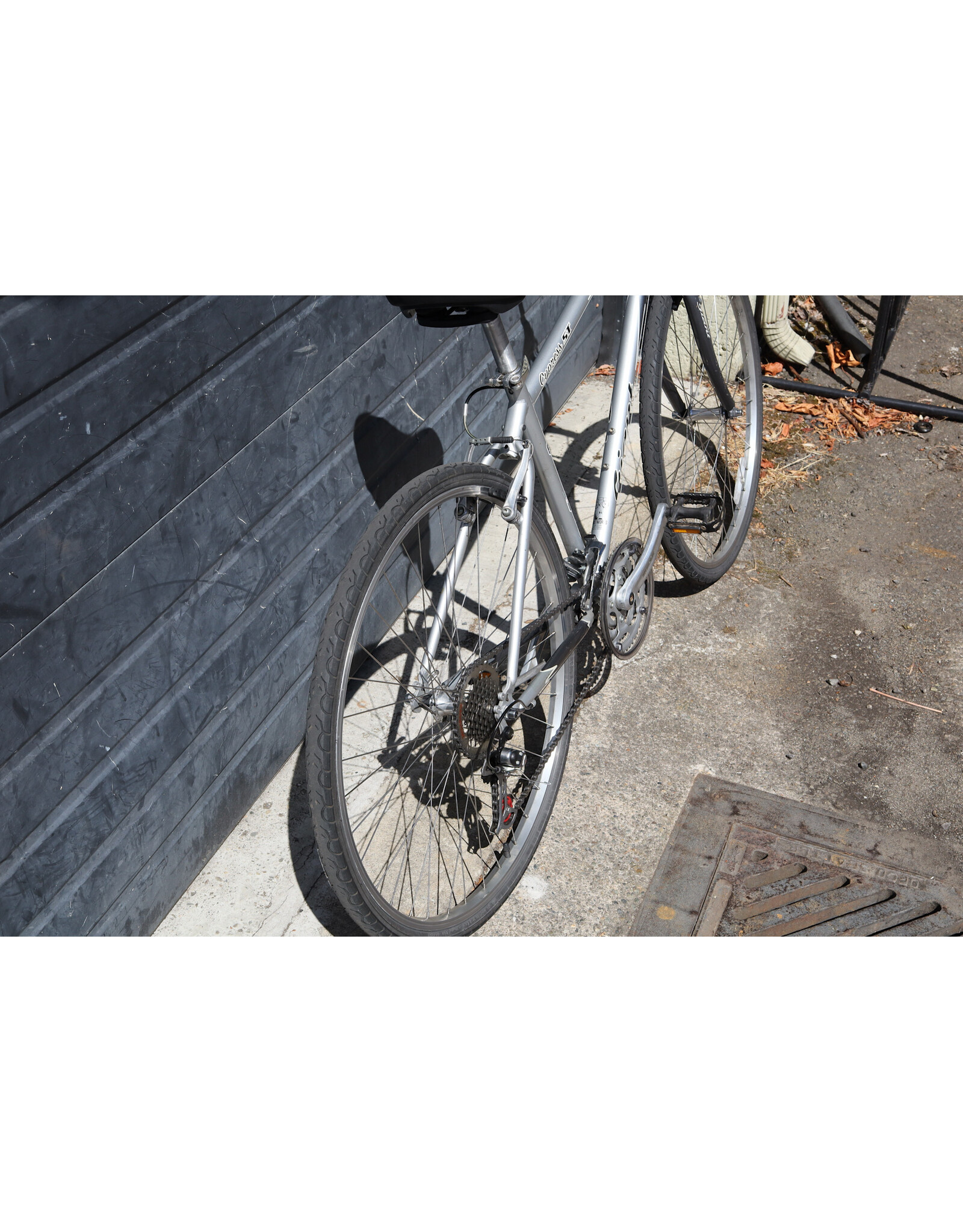 Giant 19" Giant Cypress ST