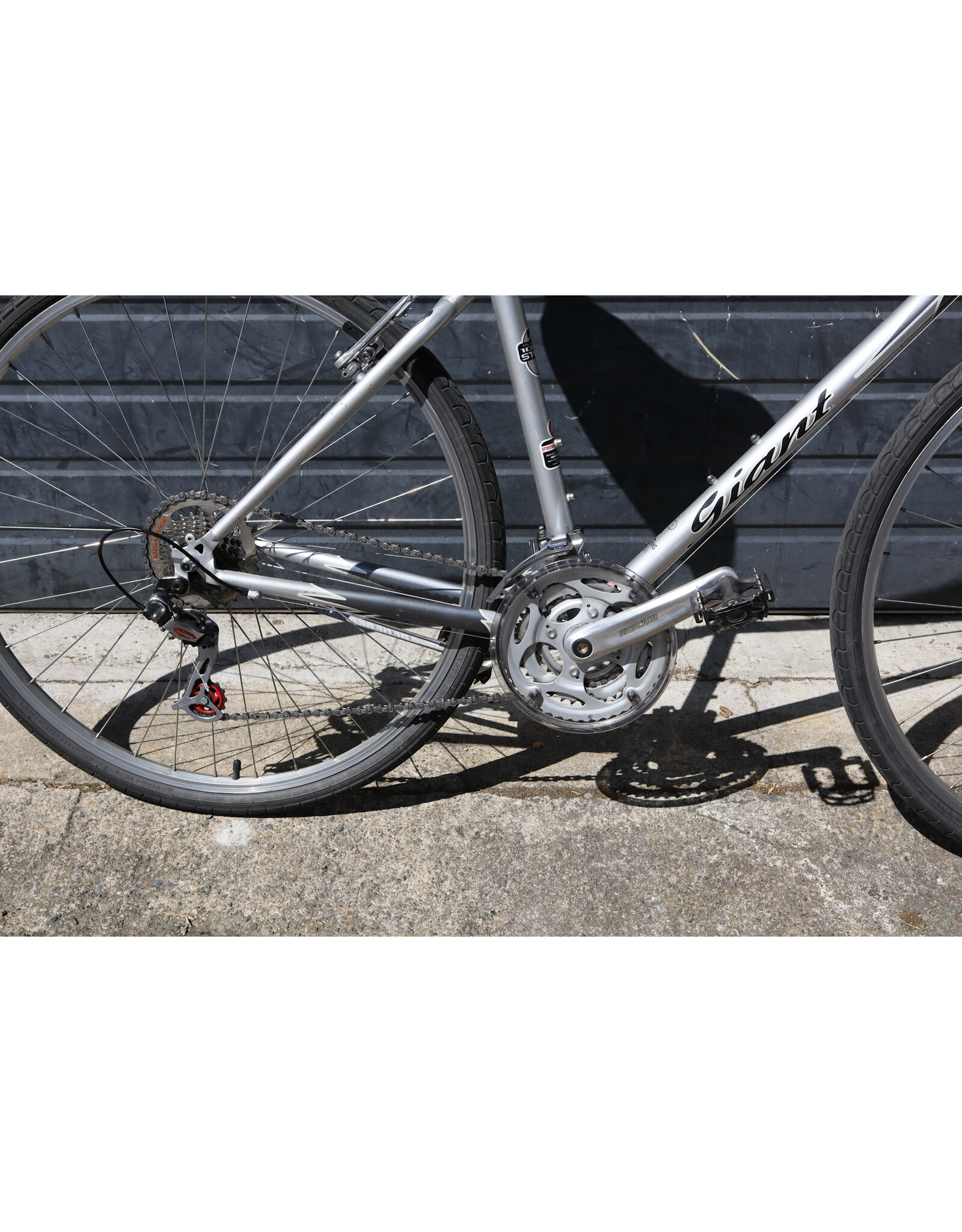Giant 19" Giant Cypress ST
