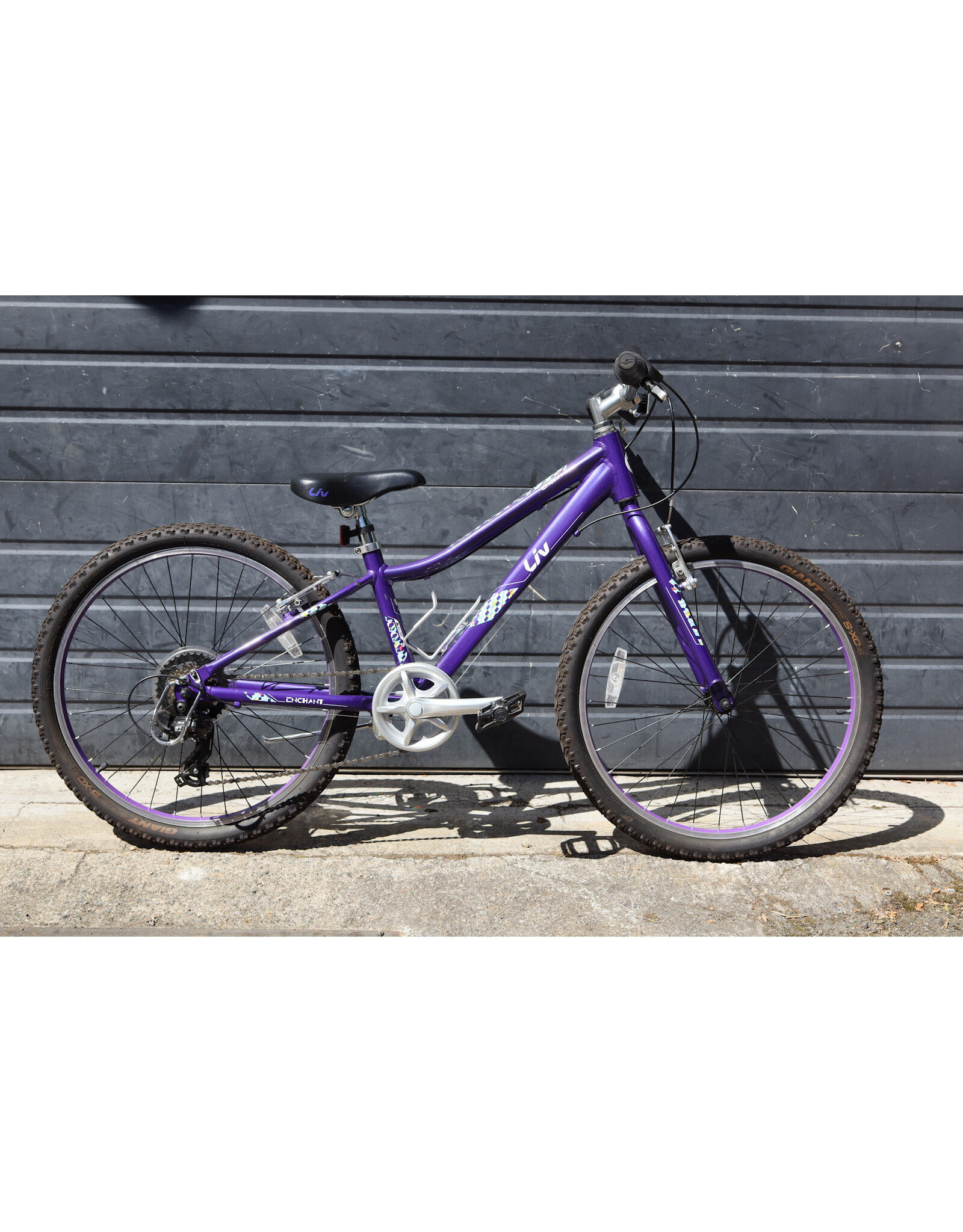 Liv 24" Liv Serialized