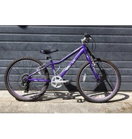 Liv 24" Liv Serialized