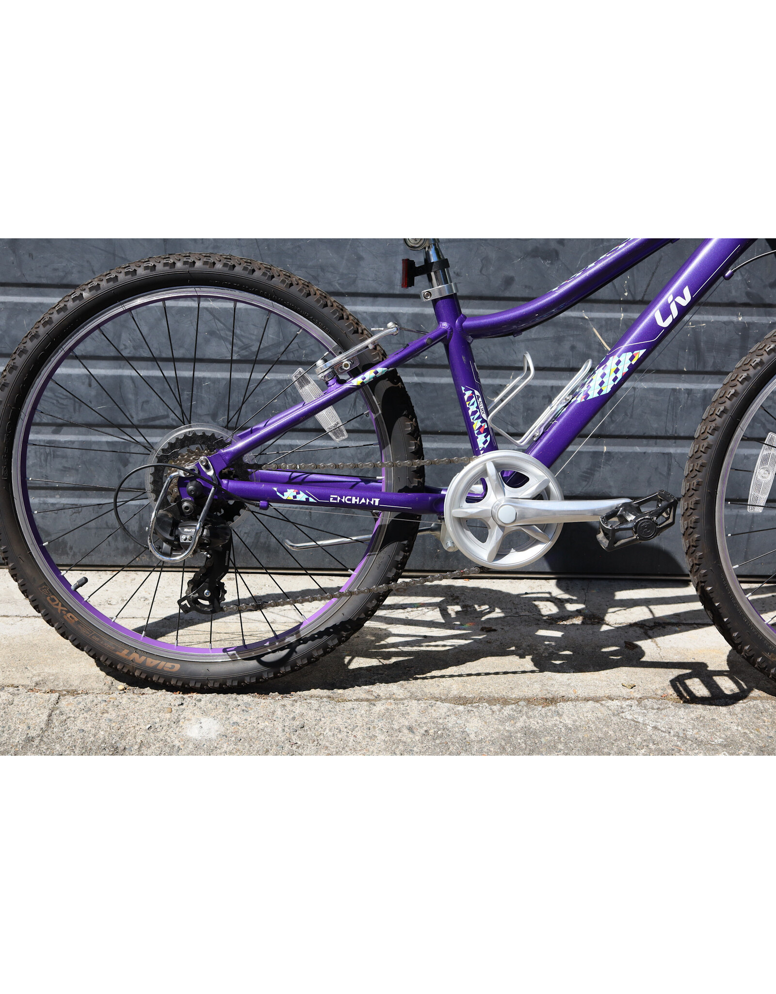 Liv 24" Liv Serialized