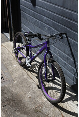 Liv 24" Liv Serialized