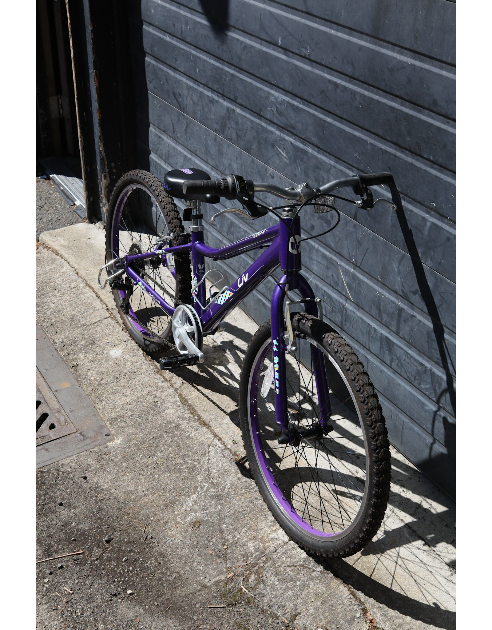 Liv 24" Liv Serialized