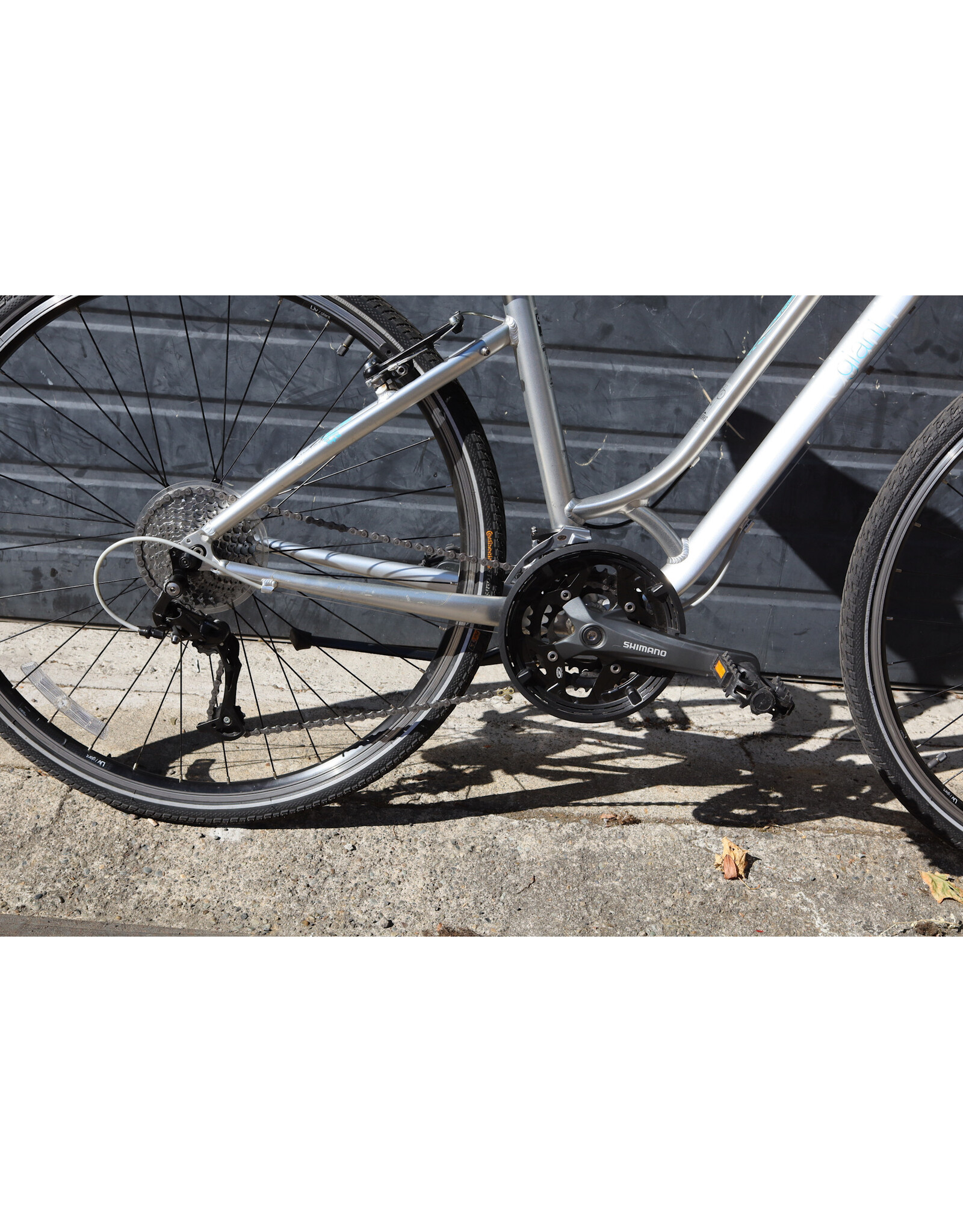Giant Small Giant Express LX W