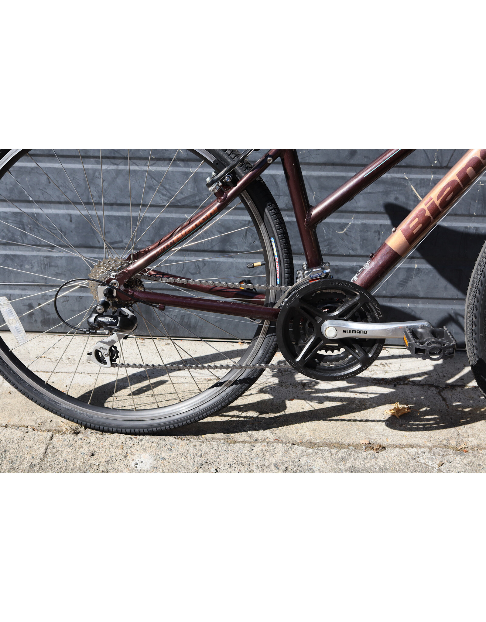 Bianchi 16" Bianchi Verona
