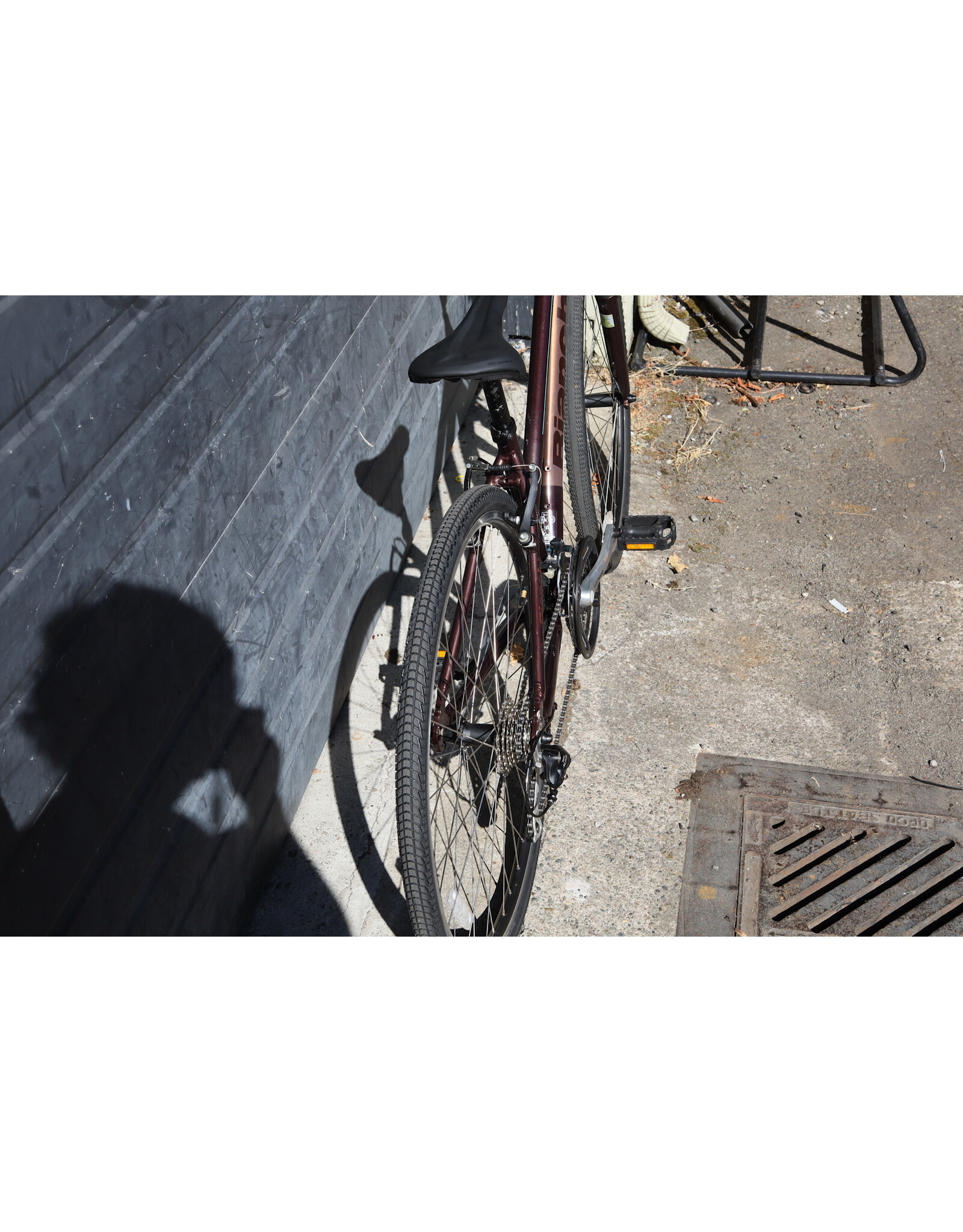 Bianchi 16" Bianchi Verona