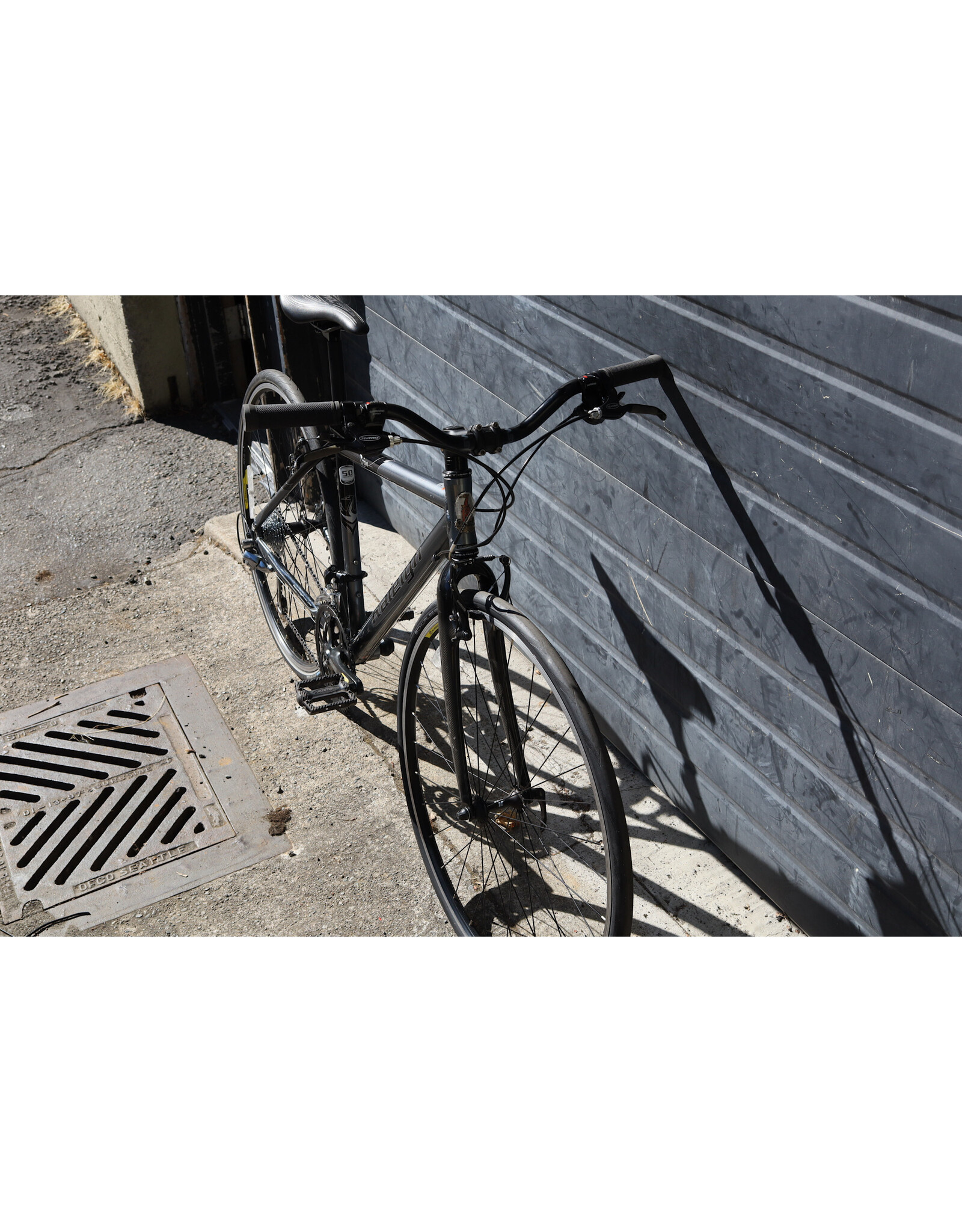 Raleigh 18.5" Raleigh 700