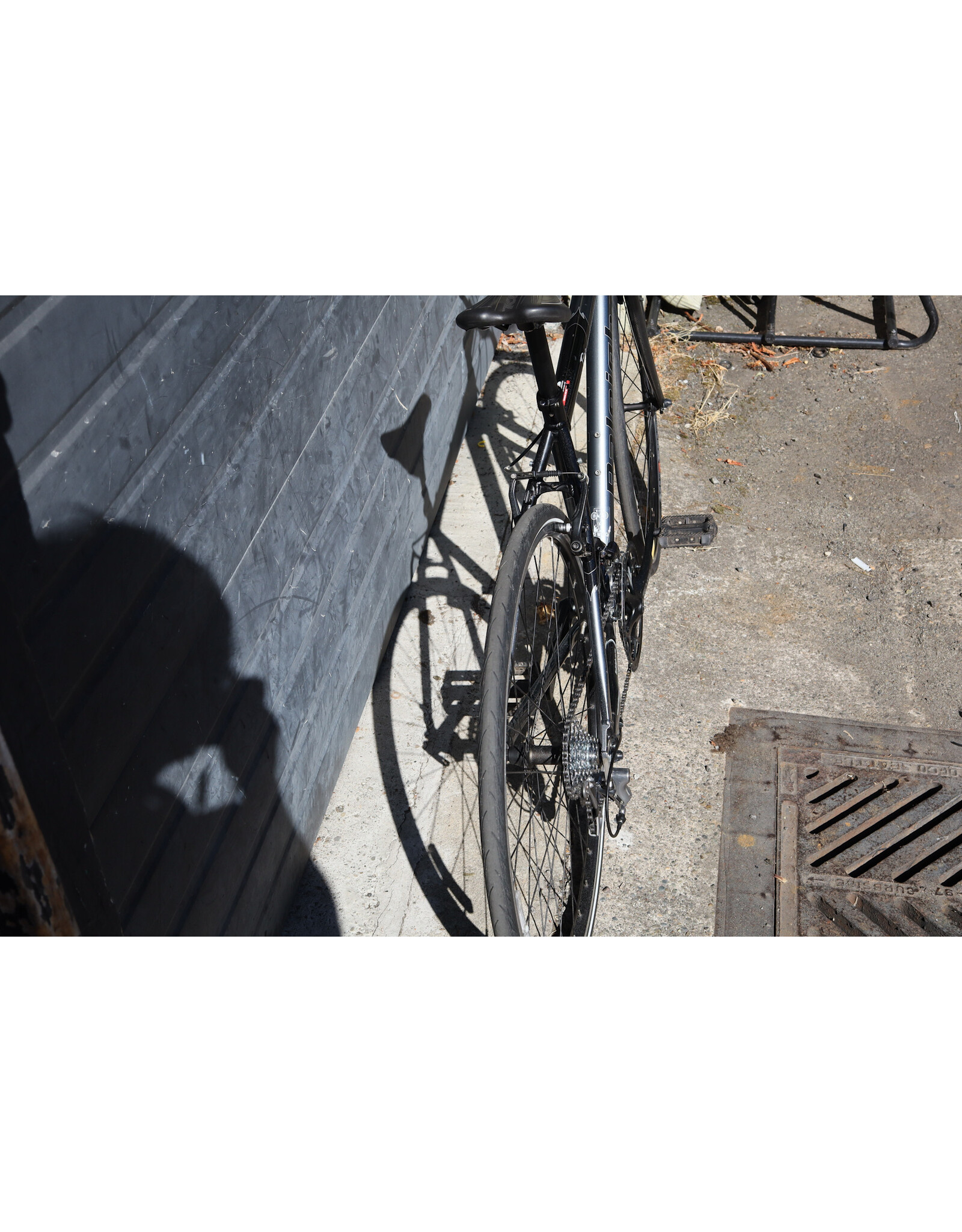 Raleigh 18.5" Raleigh 700