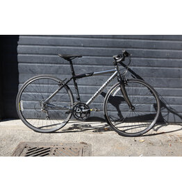 Raleigh 18.5" Raleigh 700