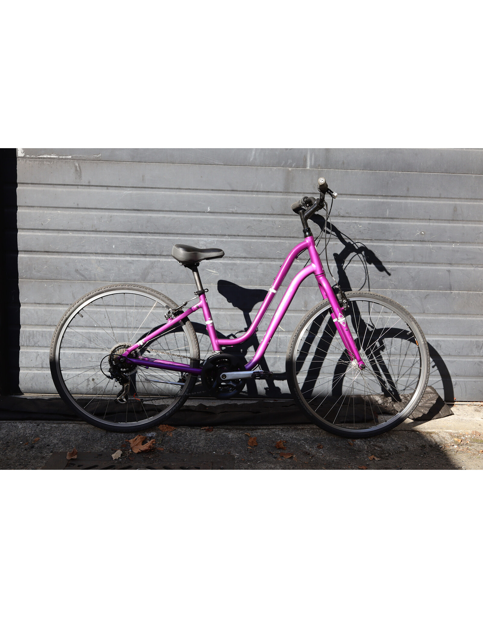 Trek 16" Trek Verve