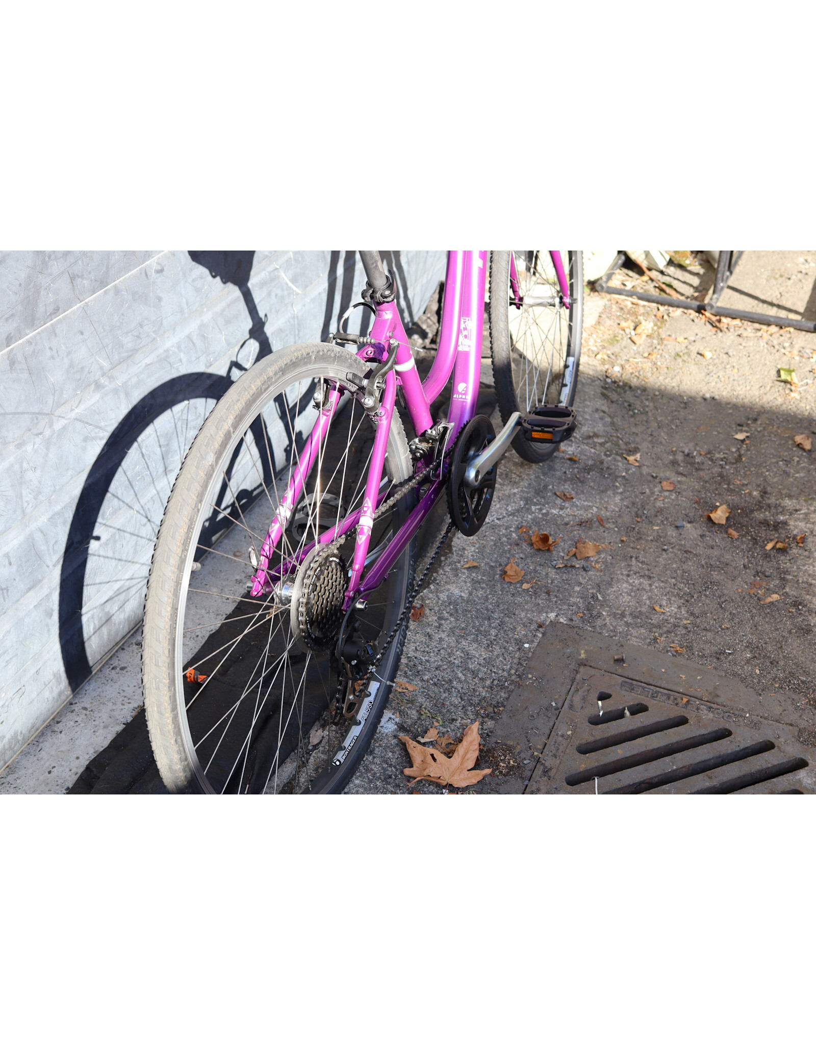 Trek 16" Trek Verve