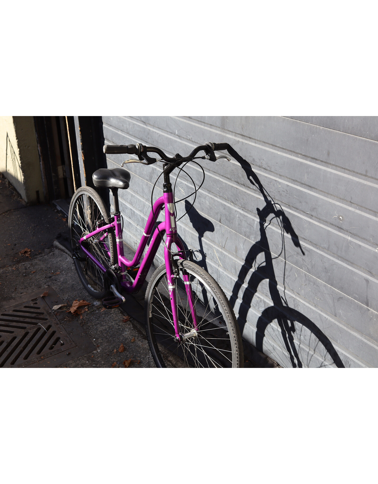 Trek 16" Trek Verve