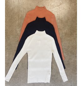 TAICHI RIBBED TURTLENECK