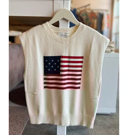 SADIE & SAGE AMERICAN DREAM FLAG SWEATER