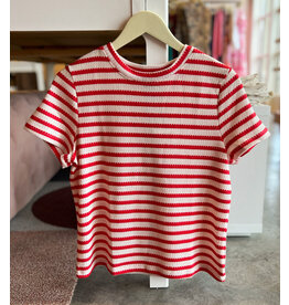 SANCTUARY RHOXANE PERFECT TEXTURED TEE