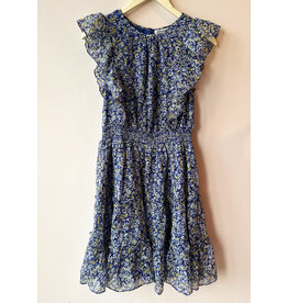 ZION FLORAL PRINT CHIFFON DRESS