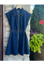 STEVE MADDEN TUCKER DRESS