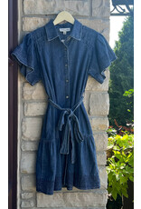 BERTRAM BUTTON DOWN DENIM DRESS