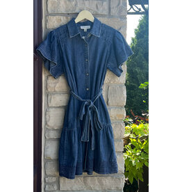 BERTRAM BUTTON DOWN DENIM DRESS