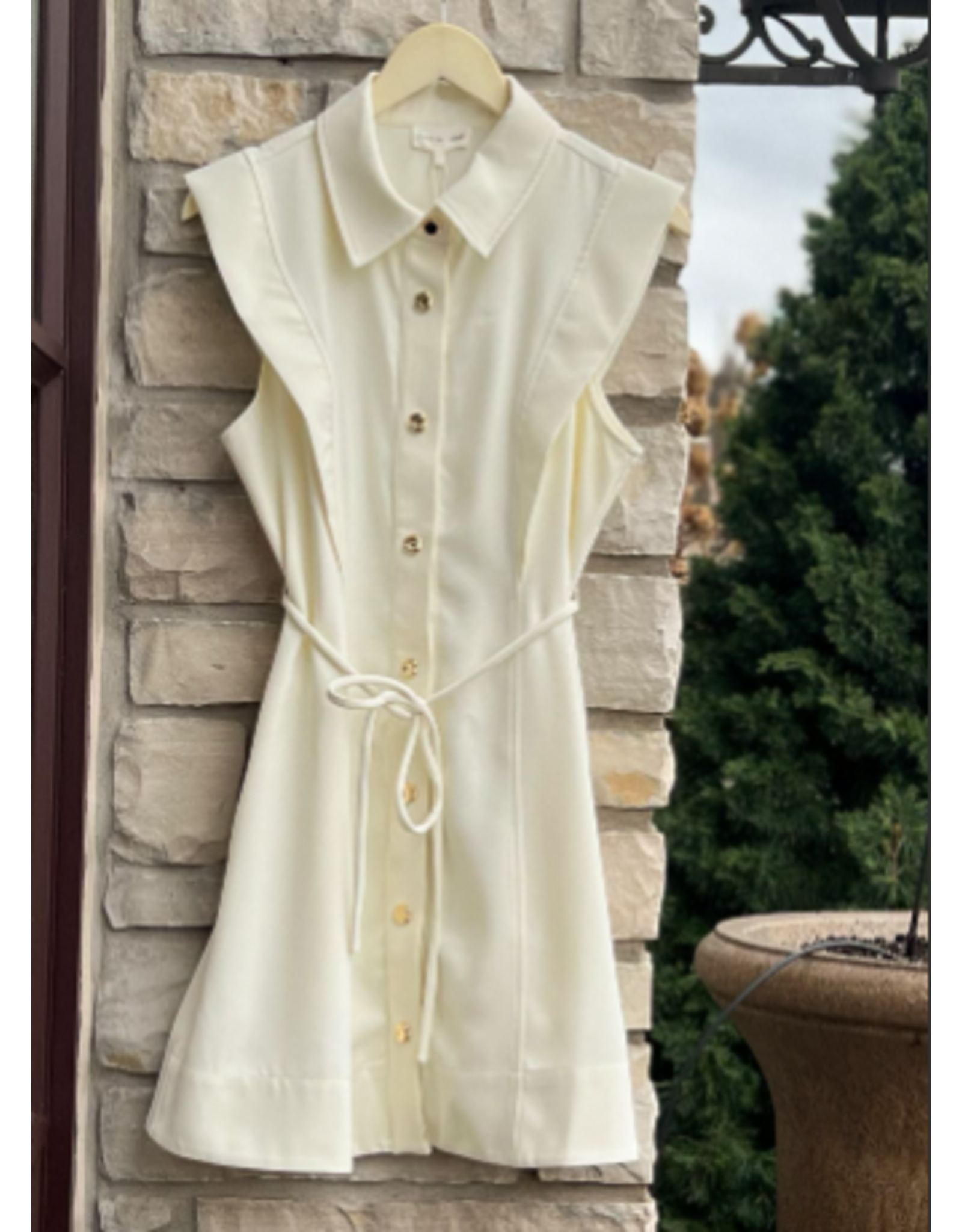 GAETANA BUTTON DOWN DRESS