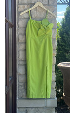 PALENCIA FLORAL DETAIL DRESS