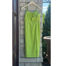 PALENCIA FLORAL DETAIL DRESS