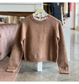 SADIE & SAGE ORCHARD SPICE SWEATER