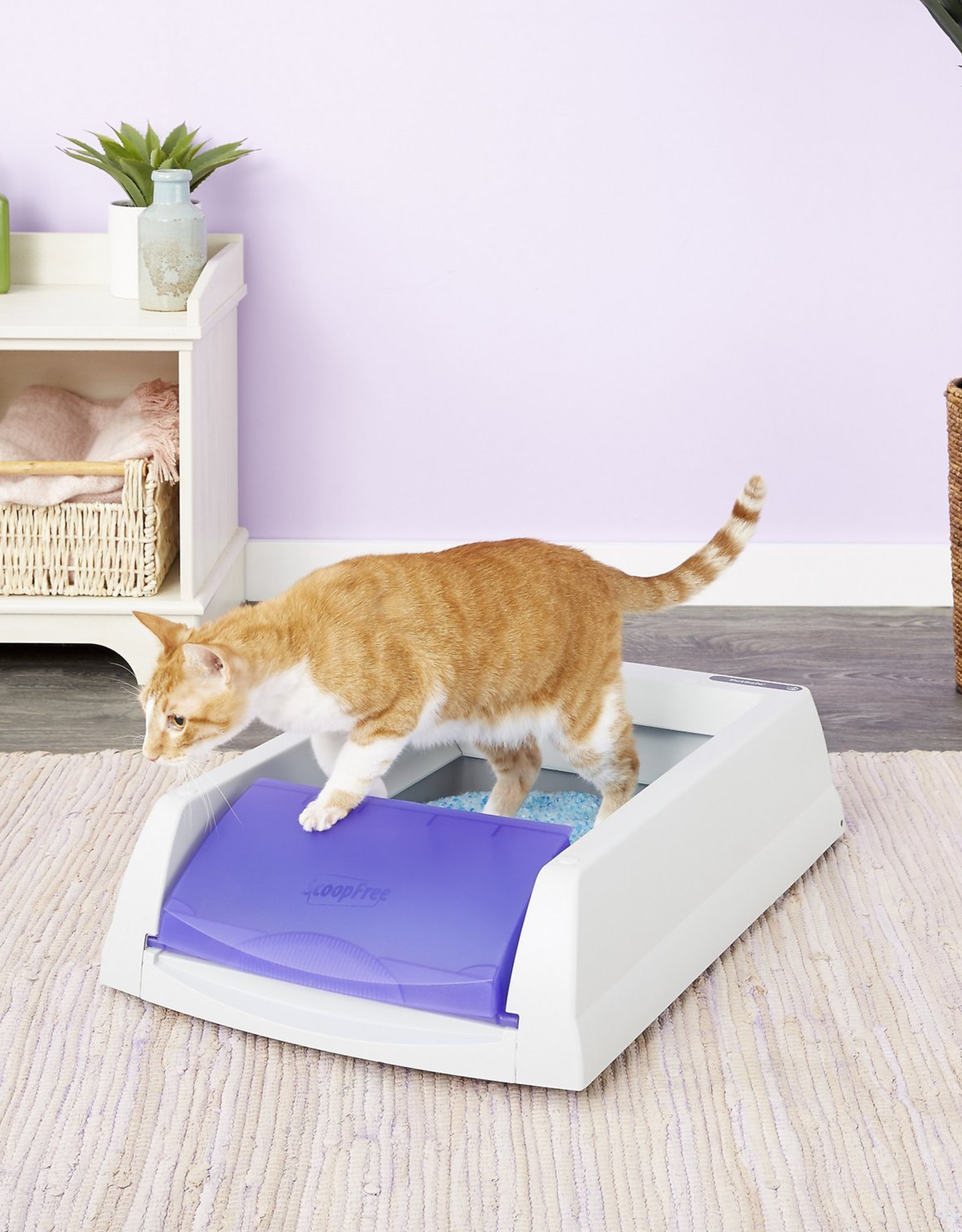 Petsafe Original Litter Box Automatic 729849142428 Bark Ave