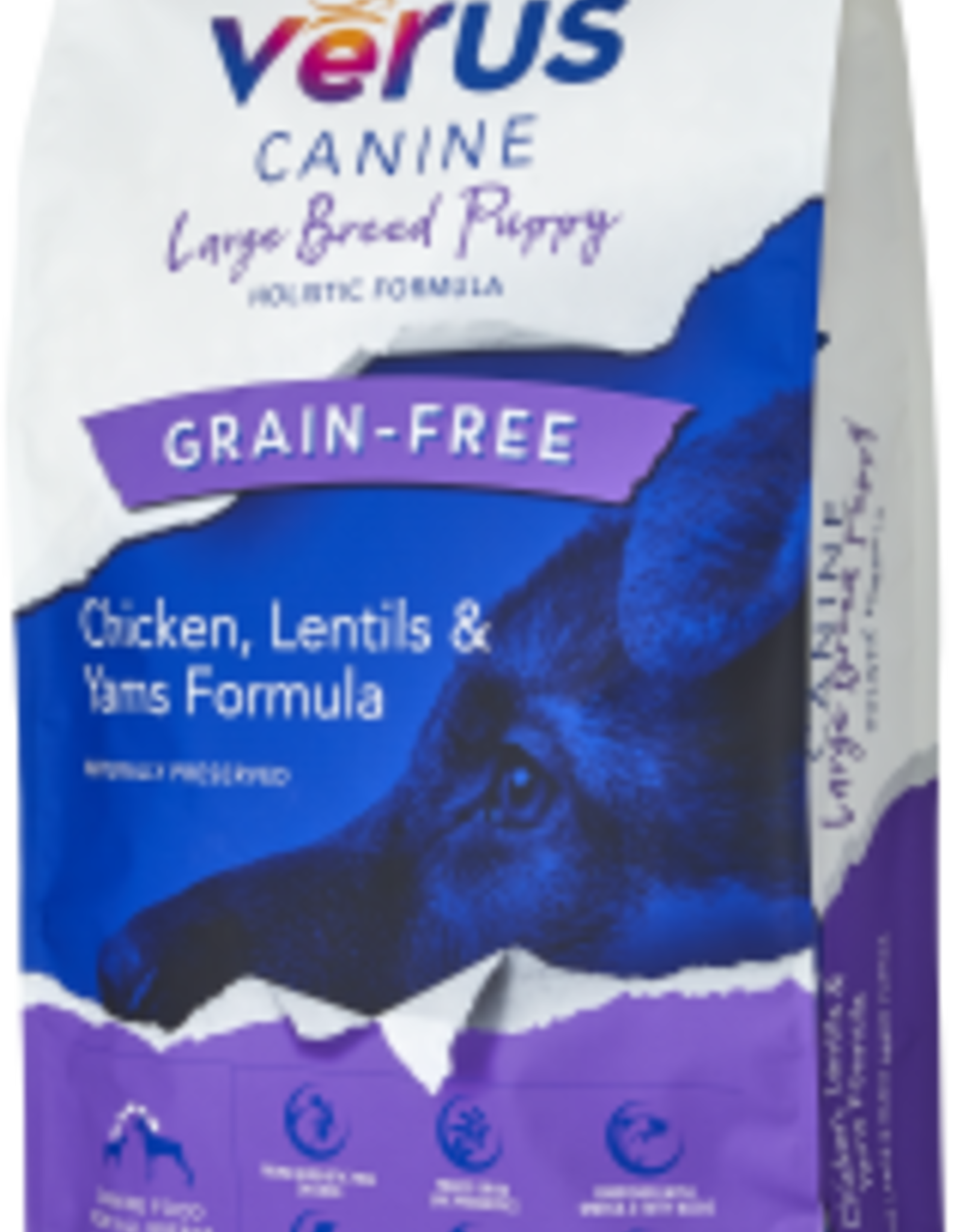verus puppy