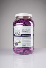 LaPalm LaPalm Dry Bath Soap Flowers - Sweet Lavender Dreams - 1gal