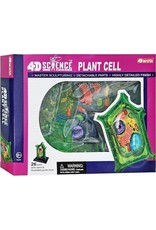 4D Plant Cell Anatomy