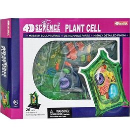 4D Plant Cell Anatomy
