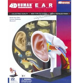 4D Human Ear