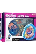 4D Animal Cell Anatomy