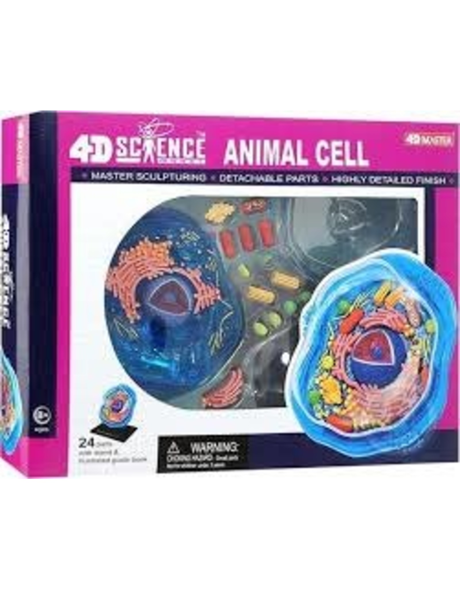 4D Animal Cell Anatomy