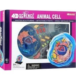 4D Animal Cell Anatomy