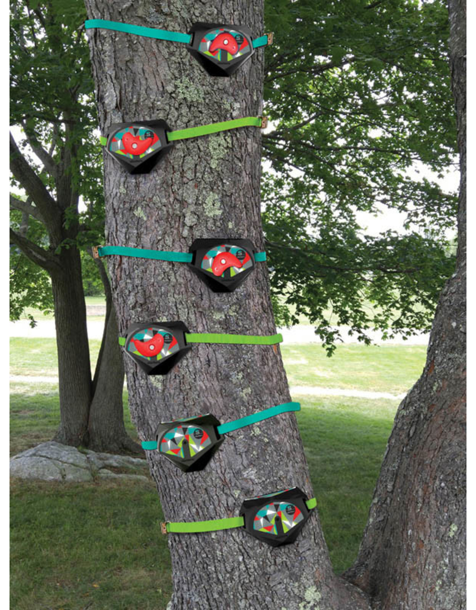 Slacker Tree Climbers