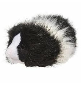 8" Angora Guinea Pig