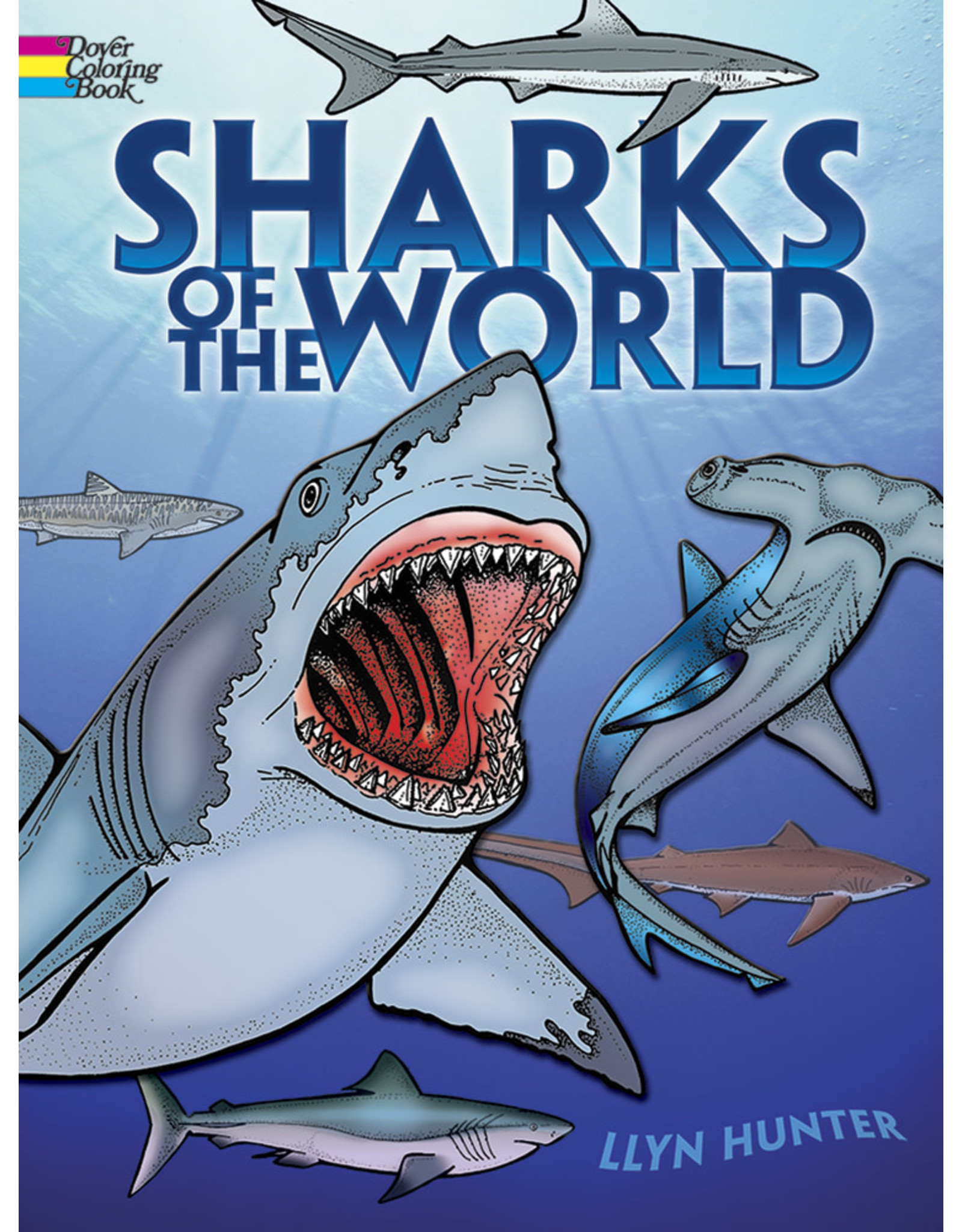 Sharks of The World
